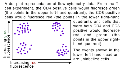 Reading Flow Cytometry Charts