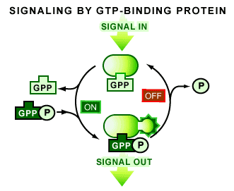 Molecular Switches