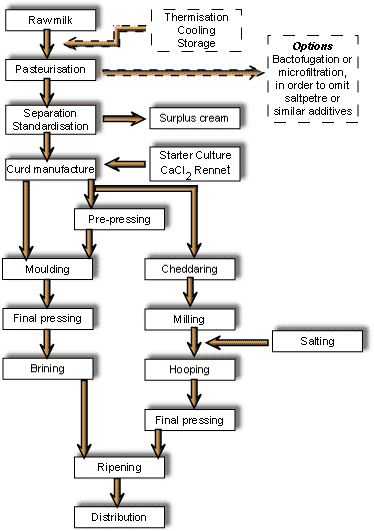 cheese-production2.gif