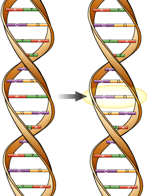 dna1.gif