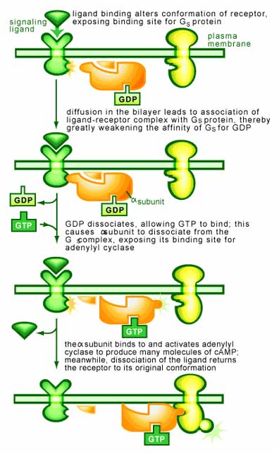 gpsignaling.jpg