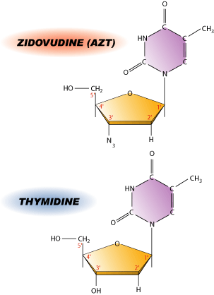aztthymidine.gif