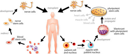 genetherapy.jpg