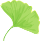 gingko.gif