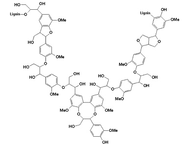 lignin.gif