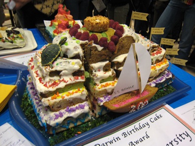 cake7537 cake7537