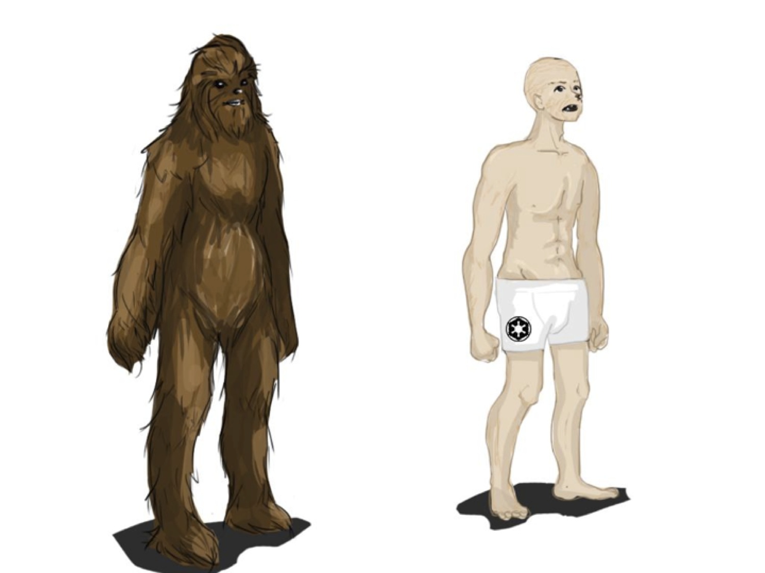 Chewbacca's suit is made from a mix of animal hairs, and eventually in...